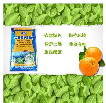 成功案例